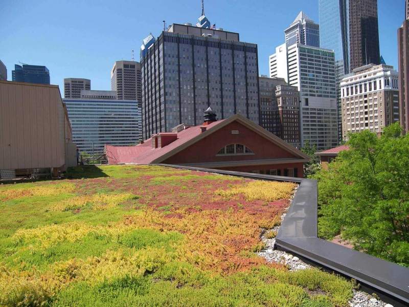 paysagiste-MARIE-min_green-roof-portfolio-4